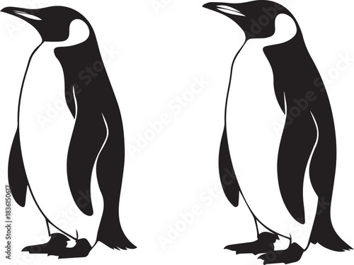 Penguin silhouette or vector illustration, isolated black and white design of flightless bird for wildlife, arctic, and nature concepts