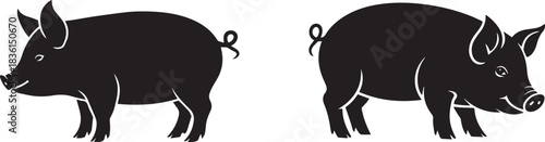 Vector silhouette of a pig, black and white isolated farm animal illustration, minimal livestock and agricultural design