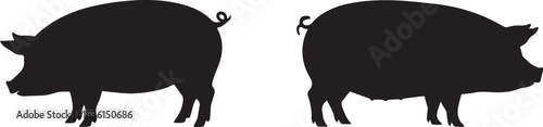 Vector silhouette of a pig, black and white isolated farm animal illustration, minimal livestock and agricultural design