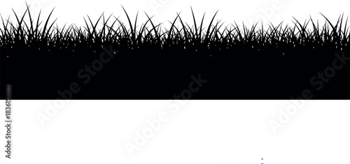 Green grass silhouette isolated border on white vector graphic