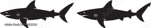 Black silhouettes of a shark, isolated ocean predator vector, minimal marine animal illustration, aggressive shark design