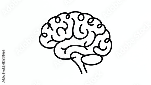 A minimalist black and white line drawing of the human brain emphasizing its intricate neural network structure and complexity
