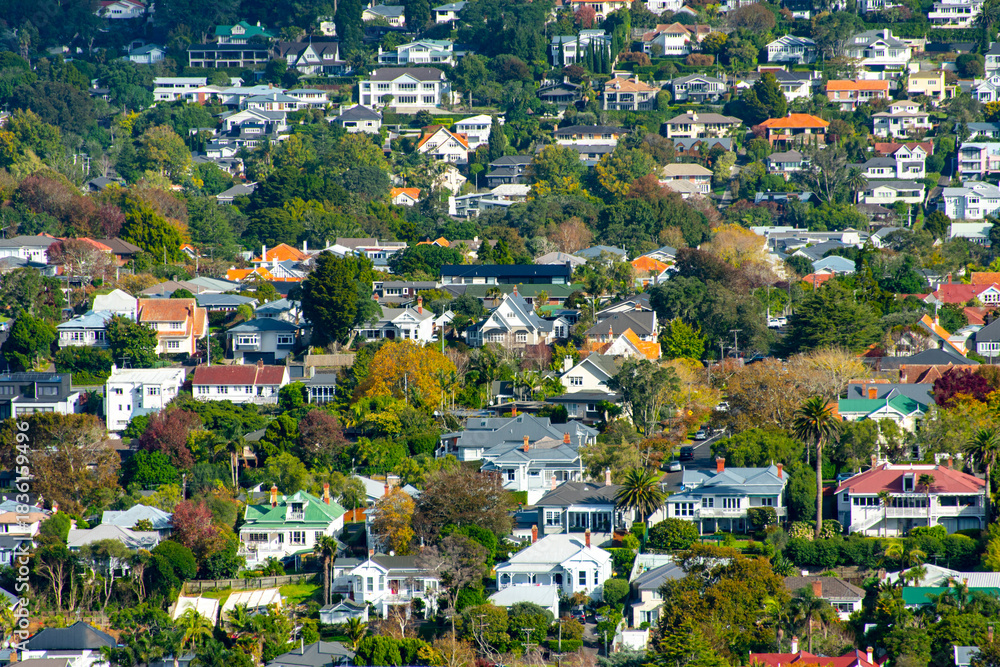 Obraz premium Residential Houses in Auckland - New Zealand