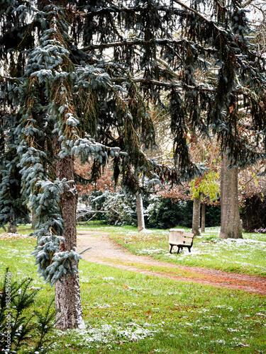 Banco en invierno en medio del parque solitario y con nieve