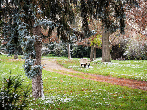 Banco en medio de un parque delante de un camino con un árbol con nieve en el primer plano durante el invierno 