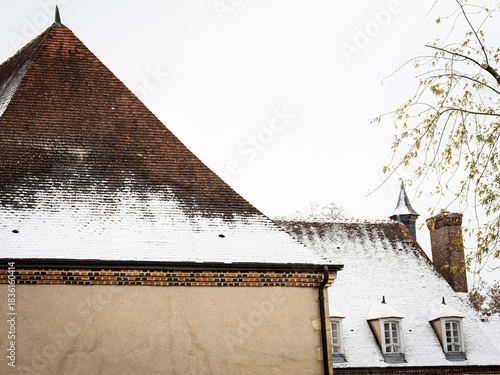 Tejados de un castillo Francés nevado en invierno con cielo gris