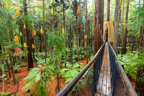 Tableau sur toile Redwoods Treewalk - Rotorua - New Zealand