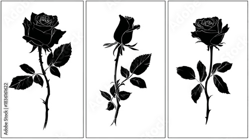 Elegant Black Rose Silhouettes Set. Three Detailed Floral Illustrations of Blooming, Bud, and Partially Open Flowers