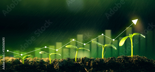 Growing money,finance and investment.	
Concept of business growth,profit, development and success. Young plants increase on sunny background.