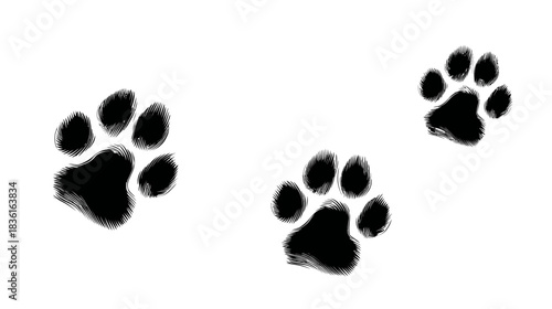 Three black animal paw prints on a pristine white background, a generic pet footprint illustration or design element.