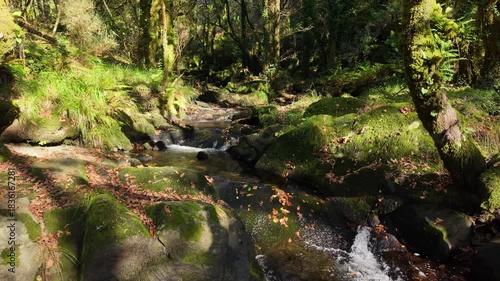 Fírvado Waterfall In The Municipality Of Mazaricos In The Province Of A Coruña, Galicia, Spain. Aerial Pullback Shot