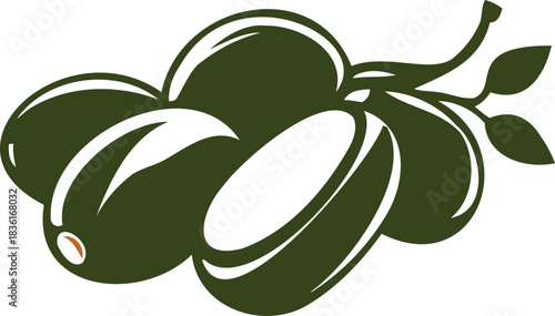 Fresh green olives on a branch, healthy food illustration for designs