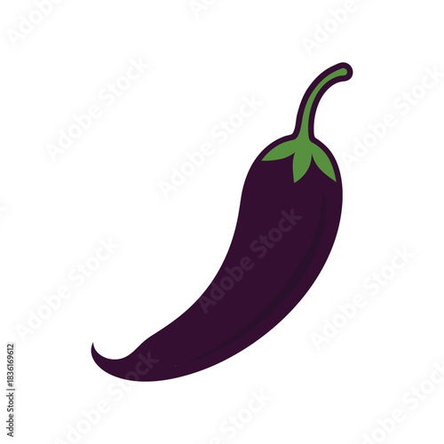 Single purple chili pepper isolated on white background with green stem Vector