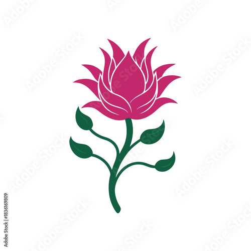 Pink lotus flower illustration isolated on white background, elegant floral design Vector