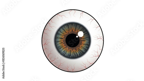 Detailed anatomical illustration of a realistic human eyeball, highlighting the intricate iris, pupil, and visible blood vessels