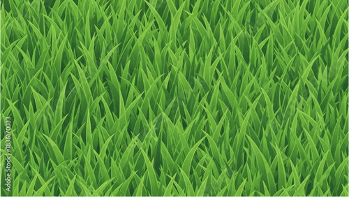 Close-up vector illustration of a vibrant green grass field, a fresh summer lawn background