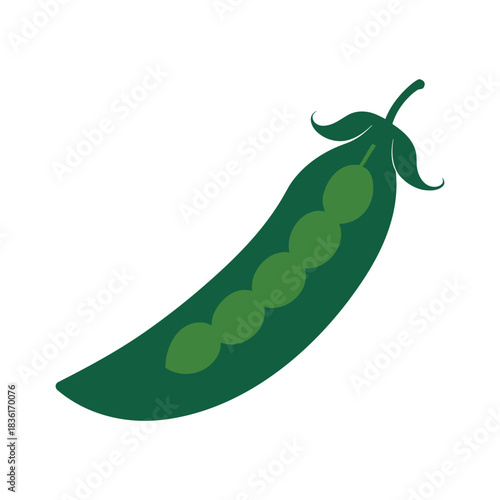 Pea pod with five green peas isolated on white, simple illustration Vector