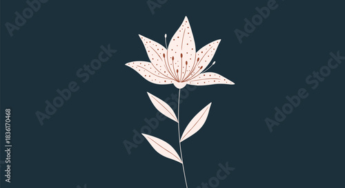 A delicate, stylized illustration of a pale pink lily with spotted petals and graceful leaves on a deep blue-green background.