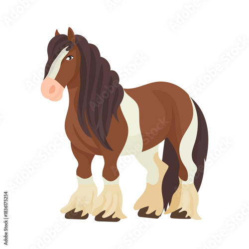 Gypsy Vanner horse. Flat vector clipart, illustration with isolated background.