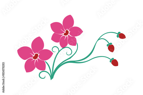 Pink orchid flowers and buds with green vines and swirls isolated Vector