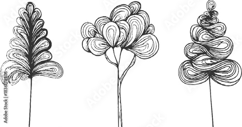 Three abstract black ink line drawings of stylized trees or plants white