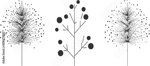 Three abstract black line drawings of stylized plants with radiating lines and circles on white background