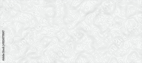 Topographic Map Pattern with Fine, Faint Gray Contour Lines on a Pristine White Background With Topographic Lines in Gray Monochrome for Design