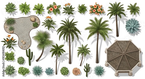Collection of tropical plants and desert cacti with a stone wall and hut