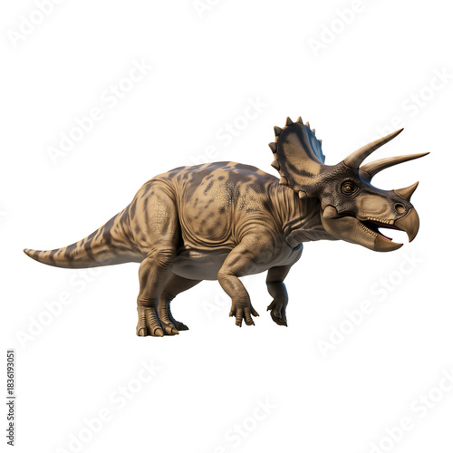 Realistic triceratops dinosaur walking with open mouth on transparent background side view for scientific paleontology design