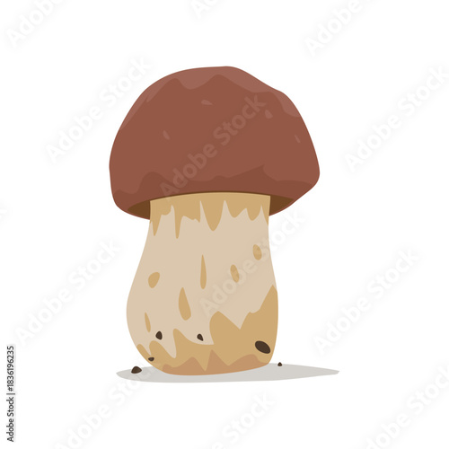 Professional Porcini Illustration — Pure Vector Art