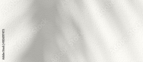 Wallpaper Mural Soft palm leaf shadows cast on a light neutral background. Color of the Year 2026, Cloud Dancer Torontodigital.ca