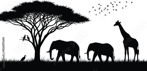 Women's $\text{Casual}$ Cropped Denim Trucker Jacket Technical Fashion Flat $\text{CAD}$ Drawing Vector Illustration with Topstitch Detail and Buttoned Chest Pockets For Design Portfolio $\text{Showca