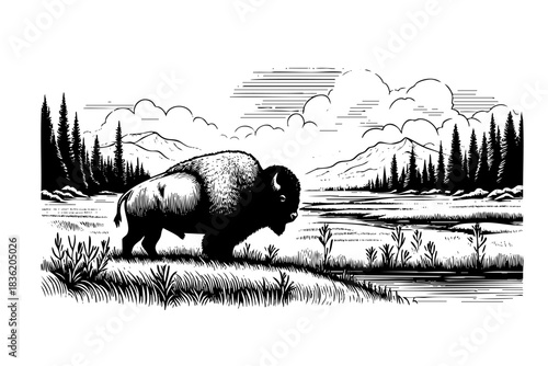 A buffalo is walking across a grassy plain in front of a mountain range. The scene is peaceful and serene, with the buffalo being the main focus of the image