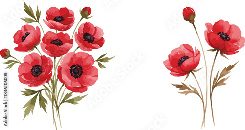 Two delicate watercolor bouquets of vibrant red poppies with green stems and leaves on a white background
