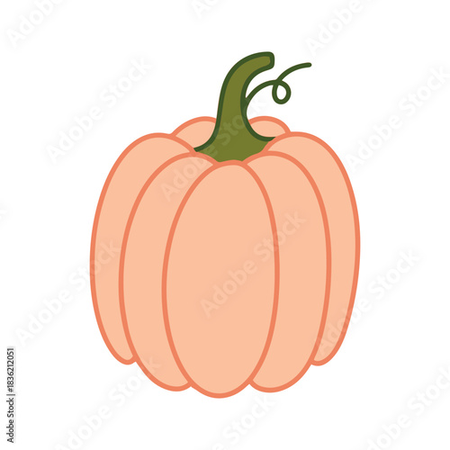 A lovely pastel pink pumpkin with a green stem. A creative and trendy variation of the classic autumn vegetable, perfect for modern seasonal decor.