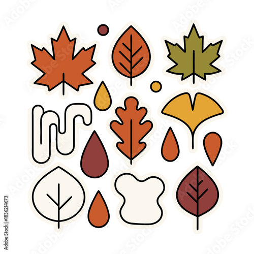 Autumn Leaf Assortment Diverse Fall Foliage Shapes and Colors Graphic Illustration on Black Background Representing Seasons Change and Nature Elements