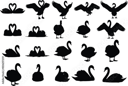 Collection of silhouette swan icons and illustrations featuring various poses and romantic heart shapes
