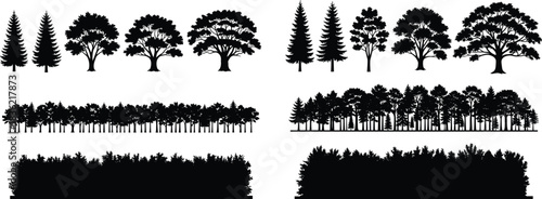 Forest silhouette collection trees woodlands and evergreen shapes