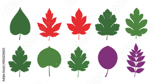 A diverse botanical collection of colorful leaf silhouettes, showcasing various tree and plant shapes in green, red, and purple hues.