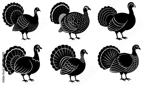 Silhouette illustration showing six turkeys in different poses and feather patterns isolated on white background