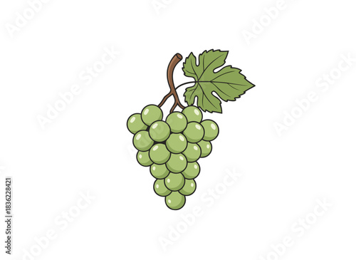 Green Grapes Bunch With Leaf On Black Background Vector Illustration