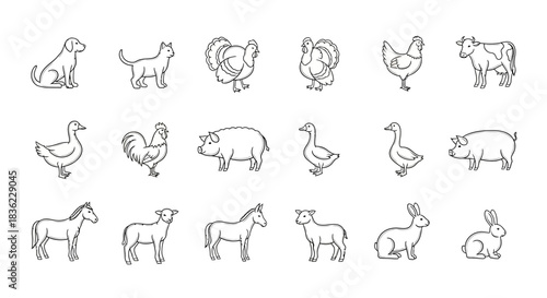 Collection of hand drawn farm animal illustrations in a sketchy style