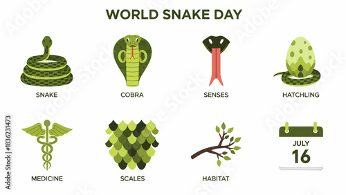 Eight green icons illustrating facts about snakes for World Snake Day