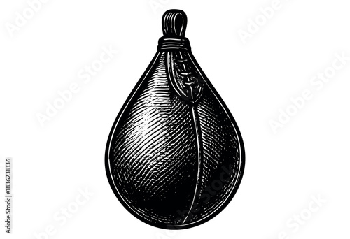 Vintage engraved illustration of a boxing speed bag — stock vector.
