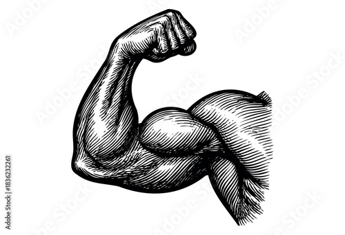 Vintage engraved illustration of a flexed muscular arm — stock vector.