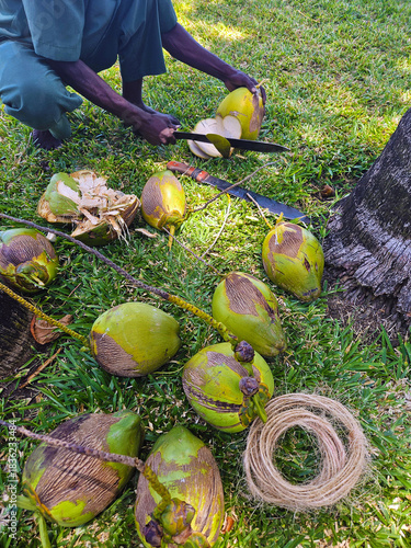 Gardener preparing milk coconuts for food. Healthy food in tropical areas.