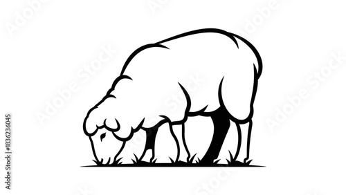 Charming sheep grazing peacefully in pasture creates a cute design element for farm themes and rural lifestyle projects.