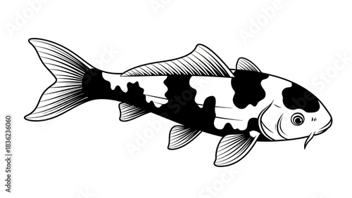Elegant monochrome koi fish illustration for traditional designs and peaceful aquatic themes