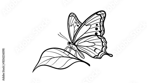 Delicate butterfly resting peacefully on a leaf, intricate line art for coloring books and creative projects