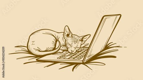 Cat sleeping on laptop on bed 